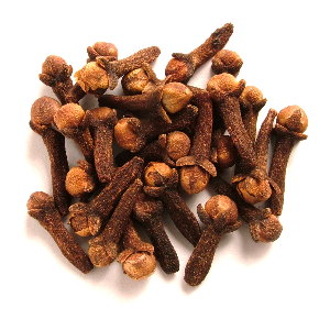 Cengkih (Eugenia aromatica O.K., sinonim Syzygium aromaticum L.)