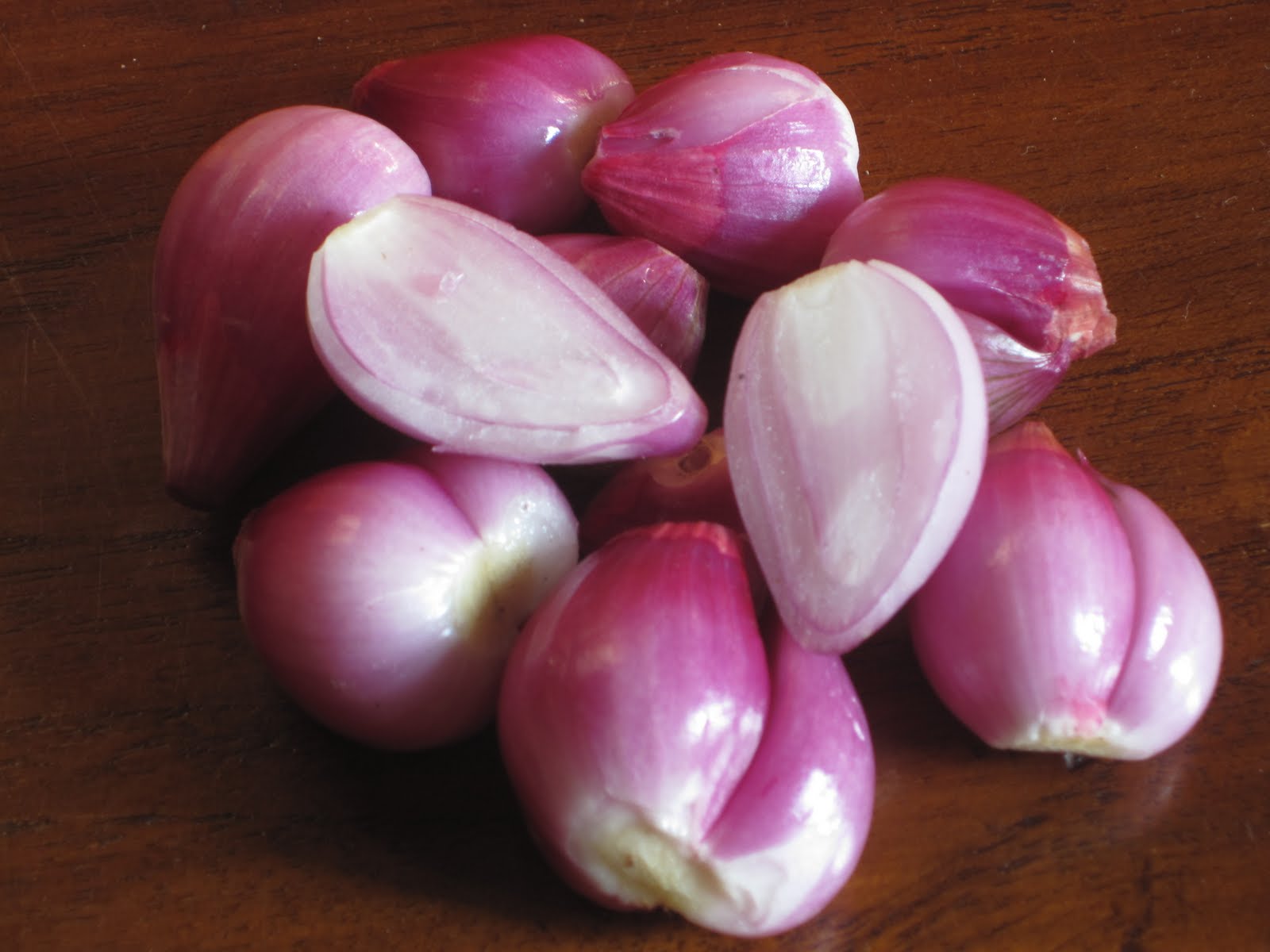 Bawang Merah (Allium cepa L.)