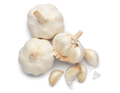Bawang Putih (Allium sativum L.)
