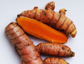 KUNYIT (Curcuma Domestica Val.)