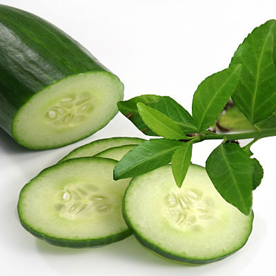 MENTIMUN (Cucumis sativus)