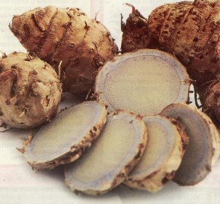 TEMU HITAM (Curcuma aeruginosa Roxb.) L.)