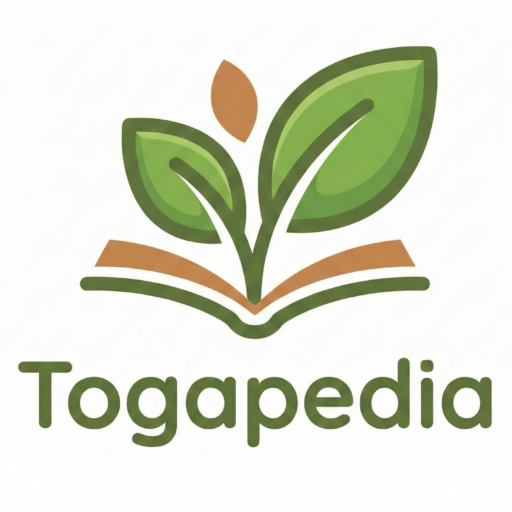 togapedia.com