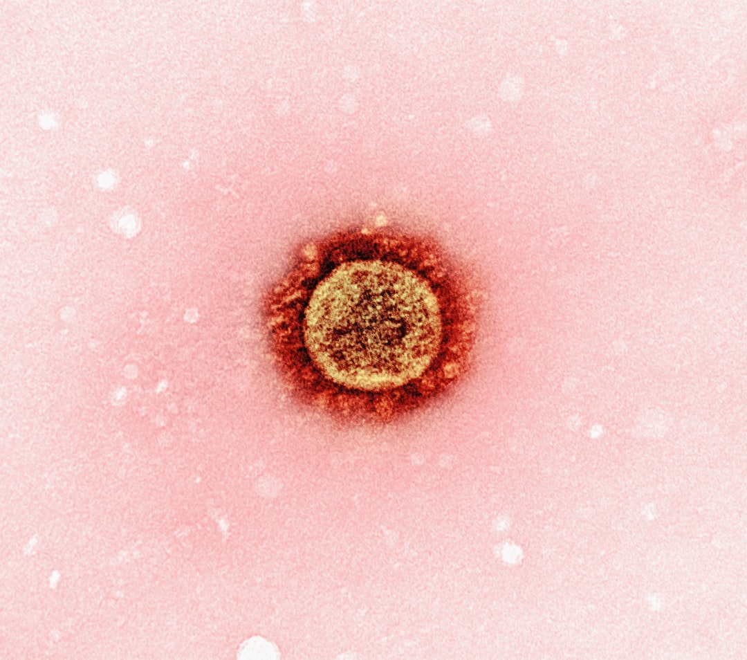 Hepatitis: Tanaman Obat untuk Mendukung Kesehatan Hati