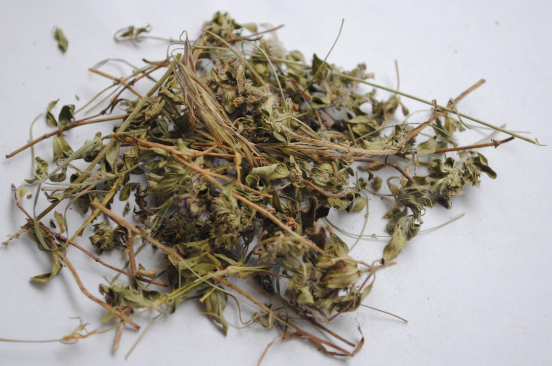 Ramuan Herbal untuk Meredakan Pegal Linu dan Nyeri Tubuh