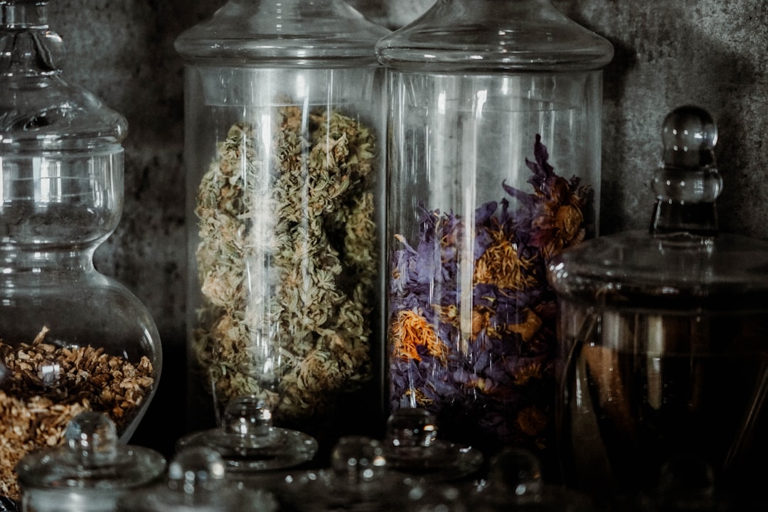 Solusi Herbal untuk Mengatasi Gangguan Pernapasan