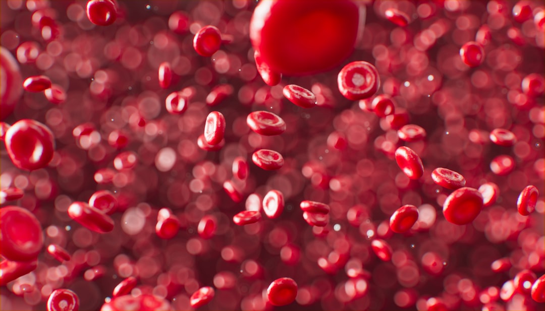 Tanaman Obat untuk Anemia
